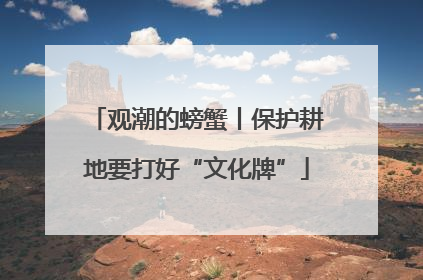 观潮的螃蟹丨保护耕地要打好“文化牌”